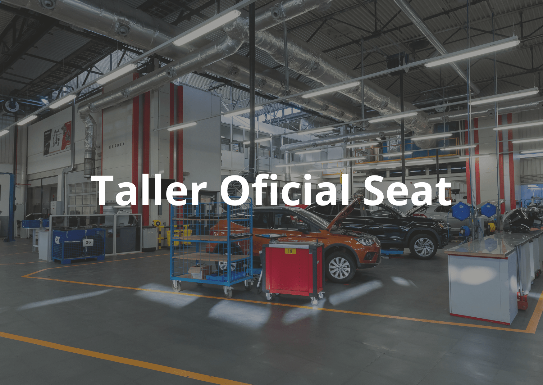 Taller Oficial Seat