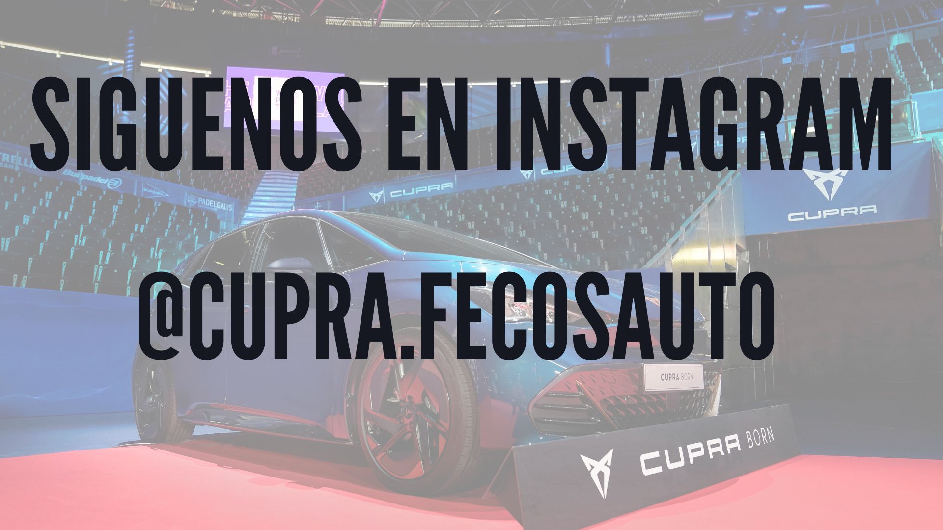 Instagram concesionario CUPRA Fecosauto
