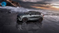 Cupra Terramar E-hybrid